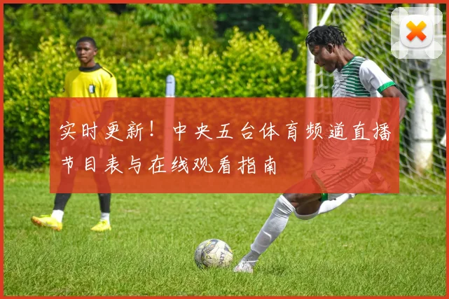 实时更新！中央五台体育频道直播节目表与在线观看指南